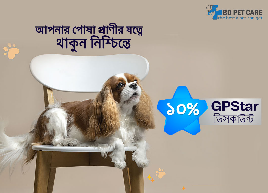 BD : Pet Care